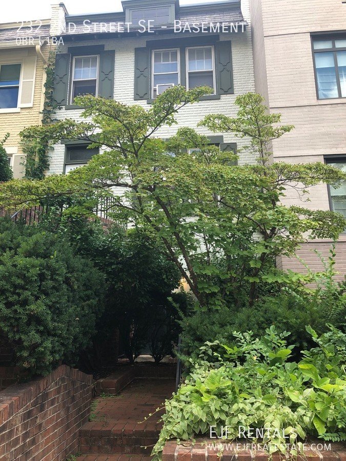 Capitol Hill Studio Apartment Available Now- Historical District Right Next to The Capital! property image