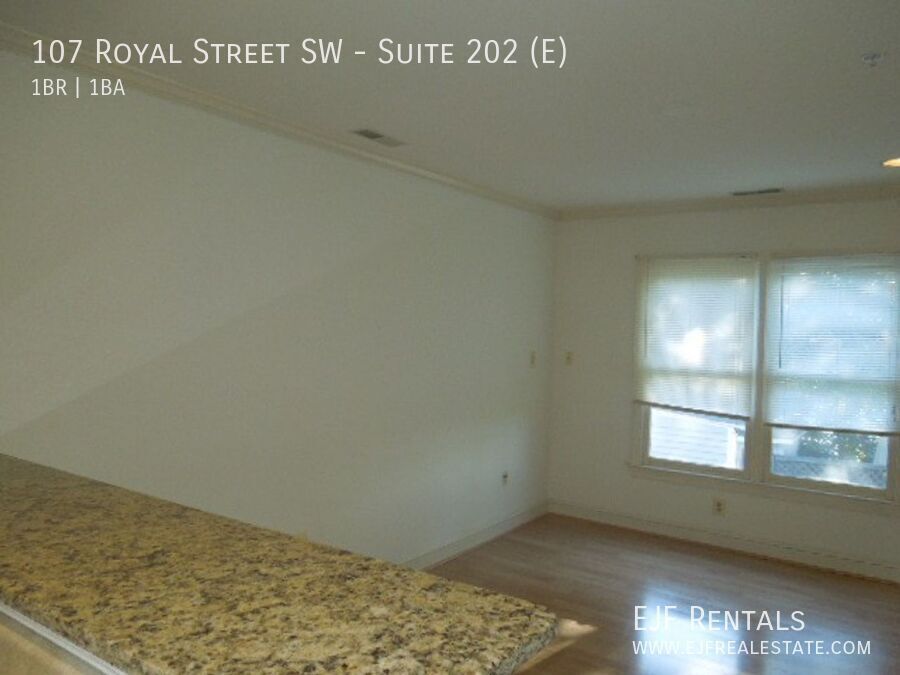Leesburg Downtown Apartment property image